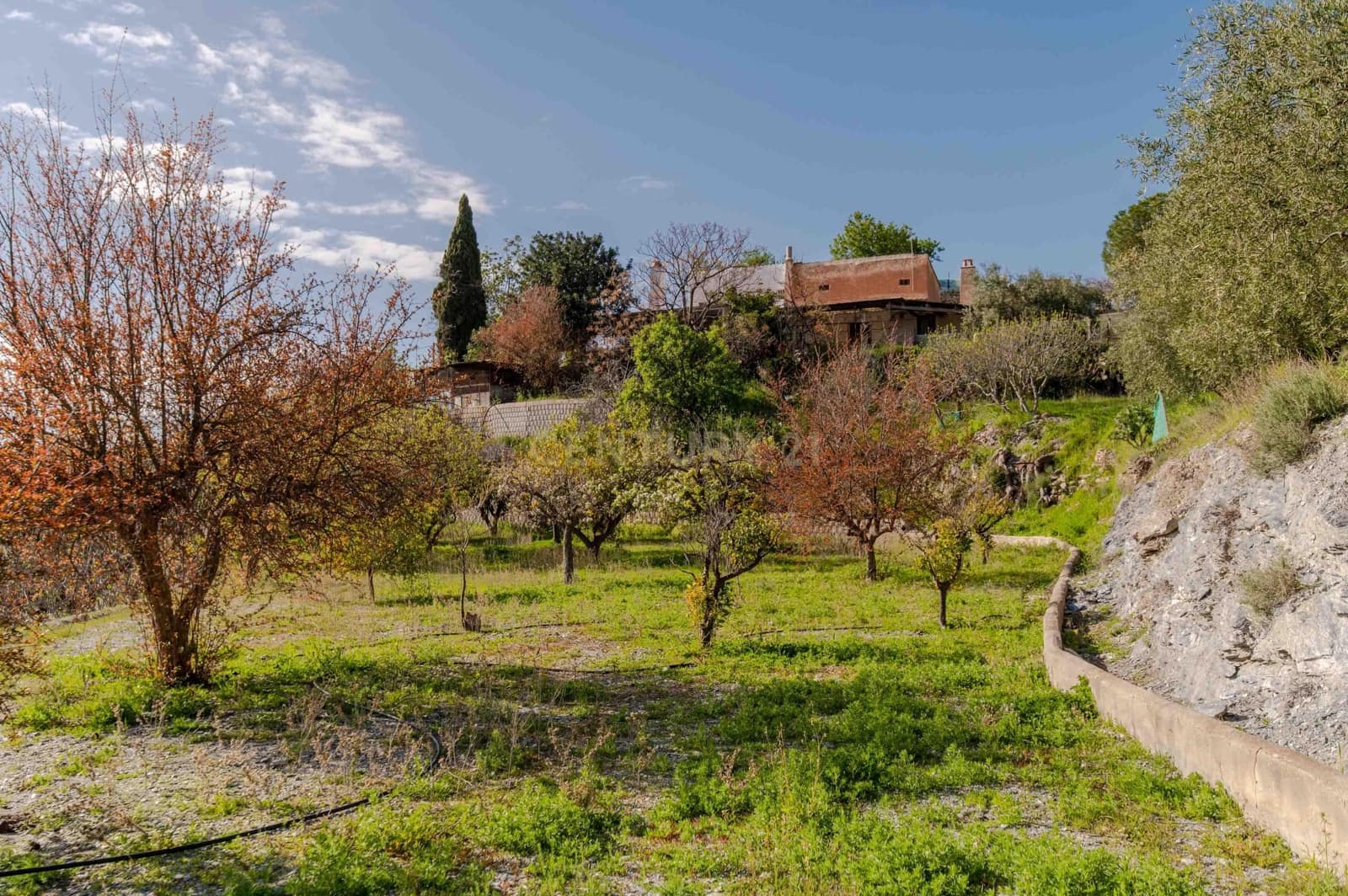 4 Zimmer Finca/Landgut zu verkaufen in Velez de Benaudalla - 190.000 € (Ref: 9697845)