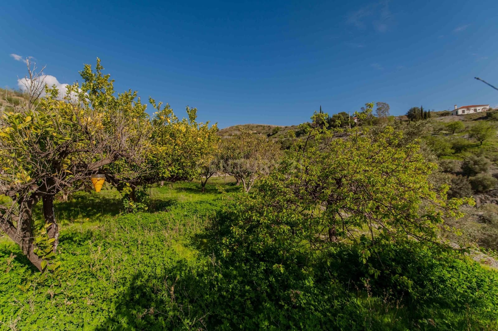 4 Zimmer Finca/Landgut zu verkaufen in Velez de Benaudalla - 190.000 € (Ref: 9697845)