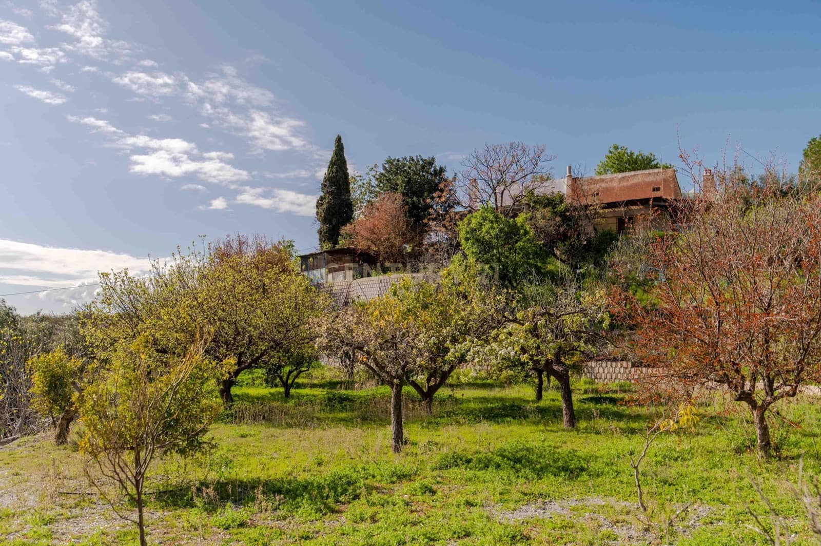 4 Zimmer Finca/Landgut zu verkaufen in Velez de Benaudalla - 190.000 € (Ref: 9697845)