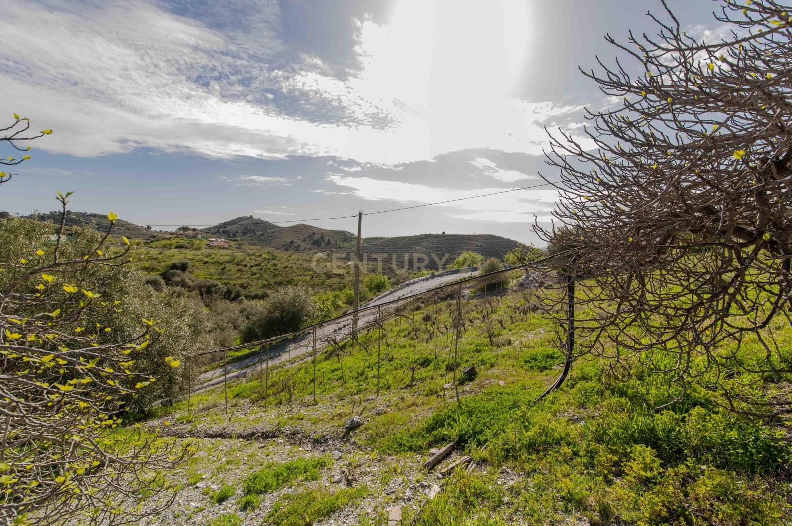 4 Zimmer Finca/Landgut zu verkaufen in Velez de Benaudalla - 190.000 € (Ref: 9697845)