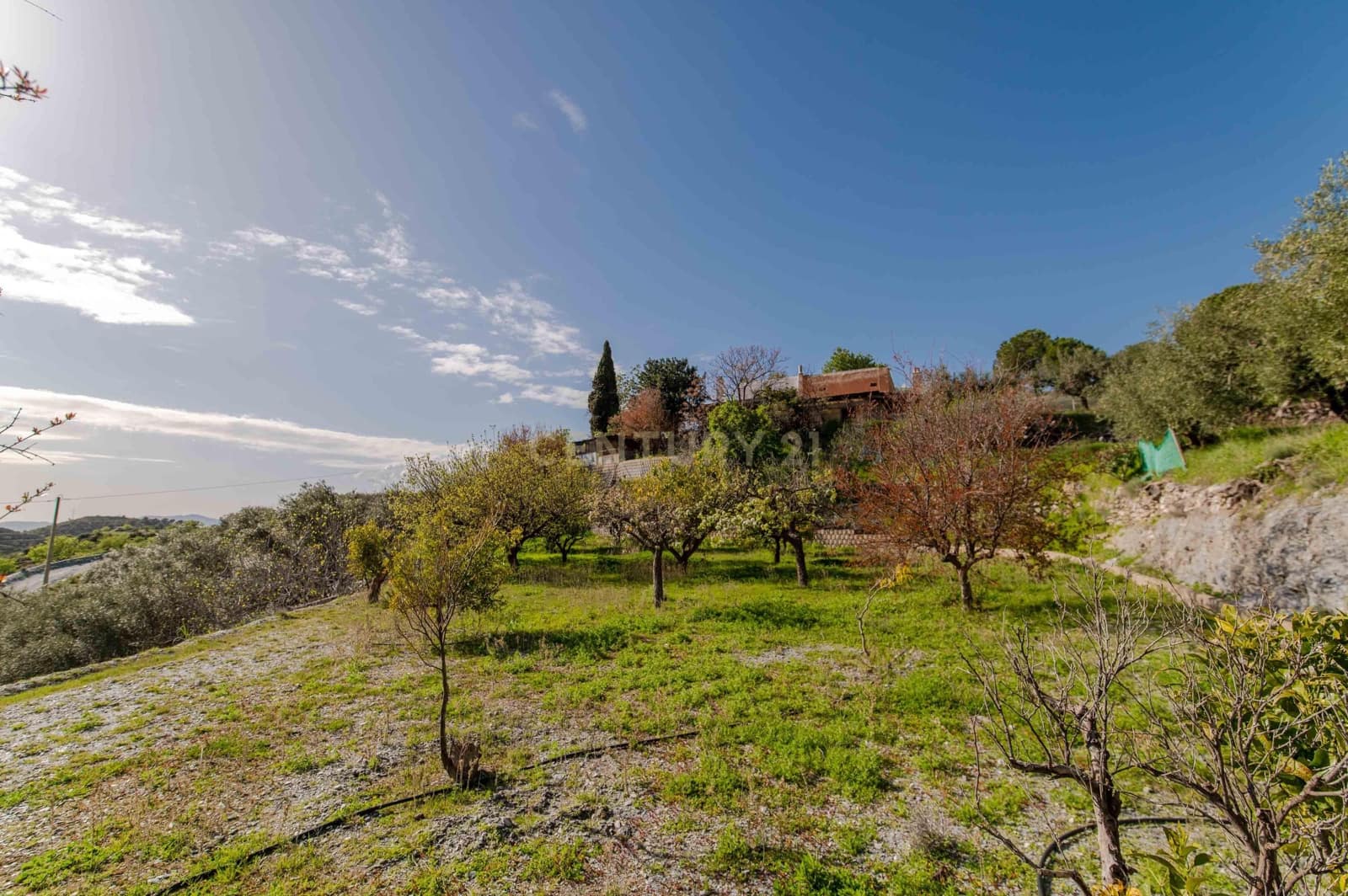 4 Zimmer Finca/Landgut zu verkaufen in Velez de Benaudalla - 190.000 € (Ref: 9697845)