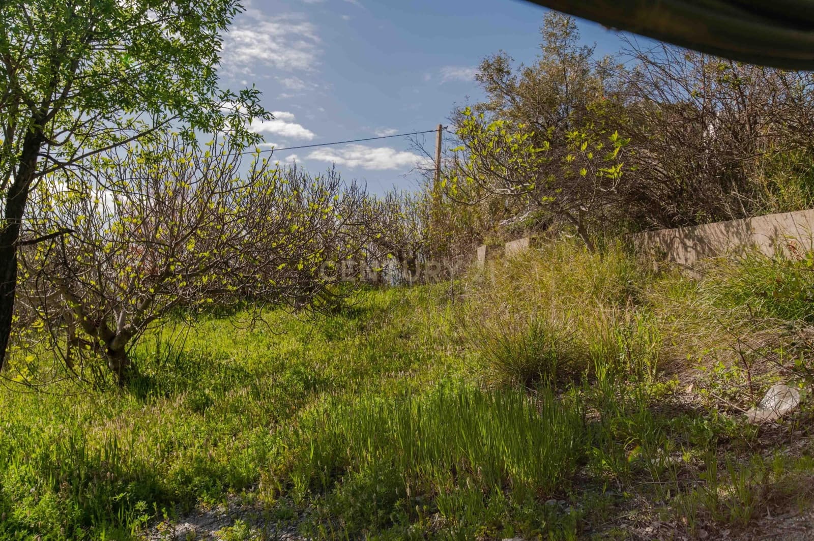 4 Zimmer Finca/Landgut zu verkaufen in Velez de Benaudalla - 190.000 € (Ref: 9697845)