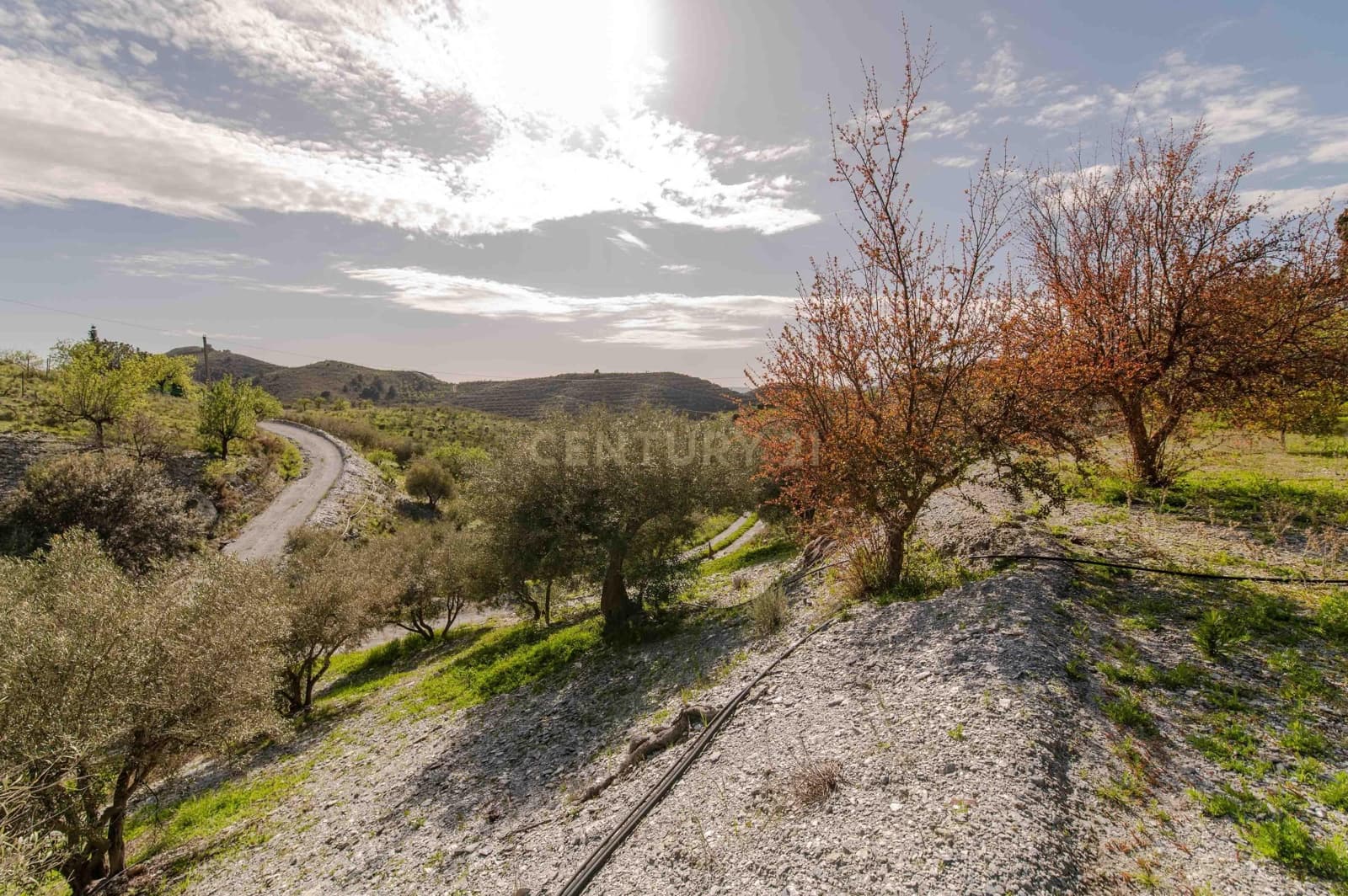 4 Zimmer Finca/Landgut zu verkaufen in Velez de Benaudalla - 190.000 € (Ref: 9697845)