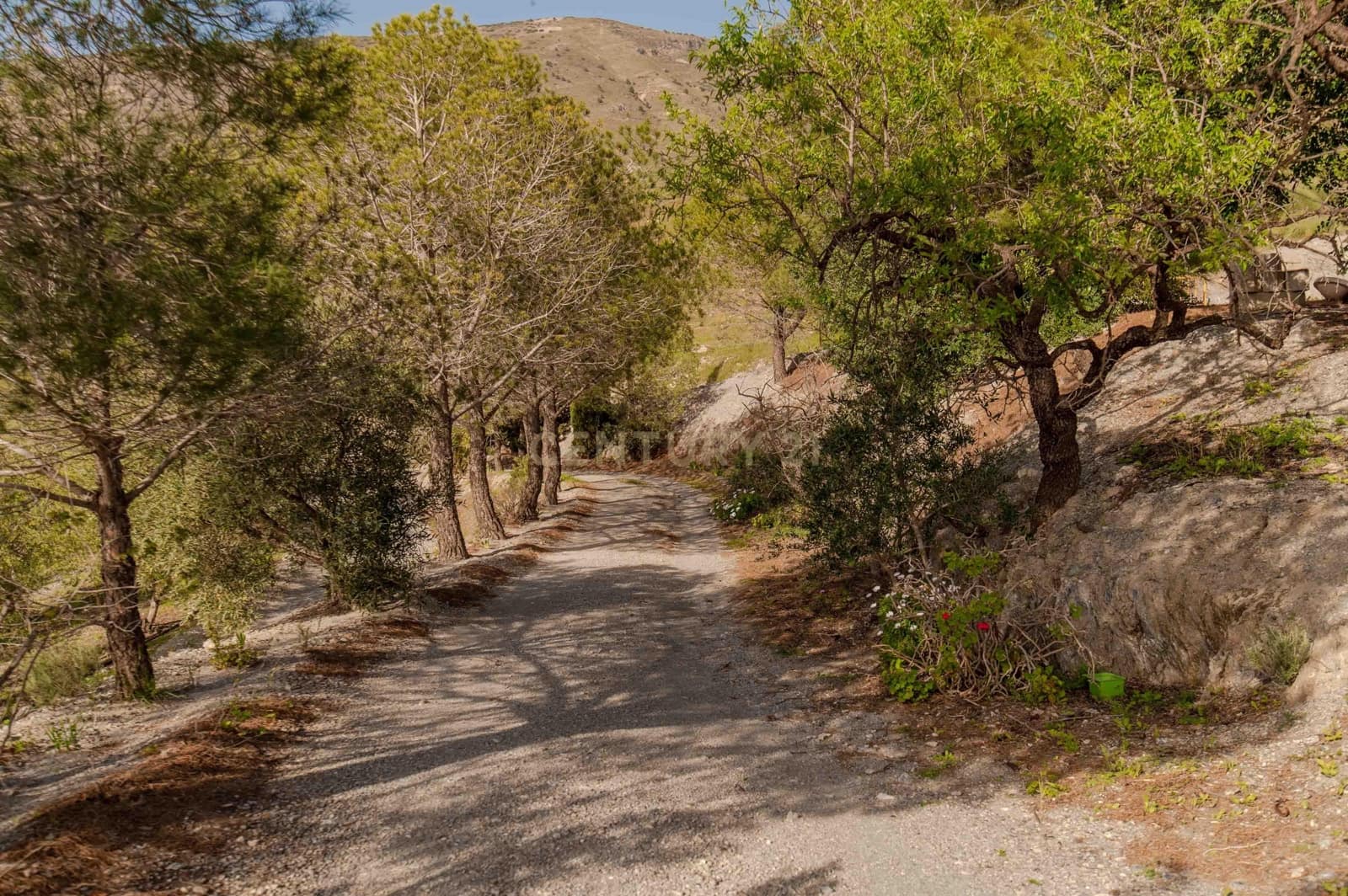 4 Zimmer Finca/Landgut zu verkaufen in Velez de Benaudalla - 190.000 € (Ref: 9697845)