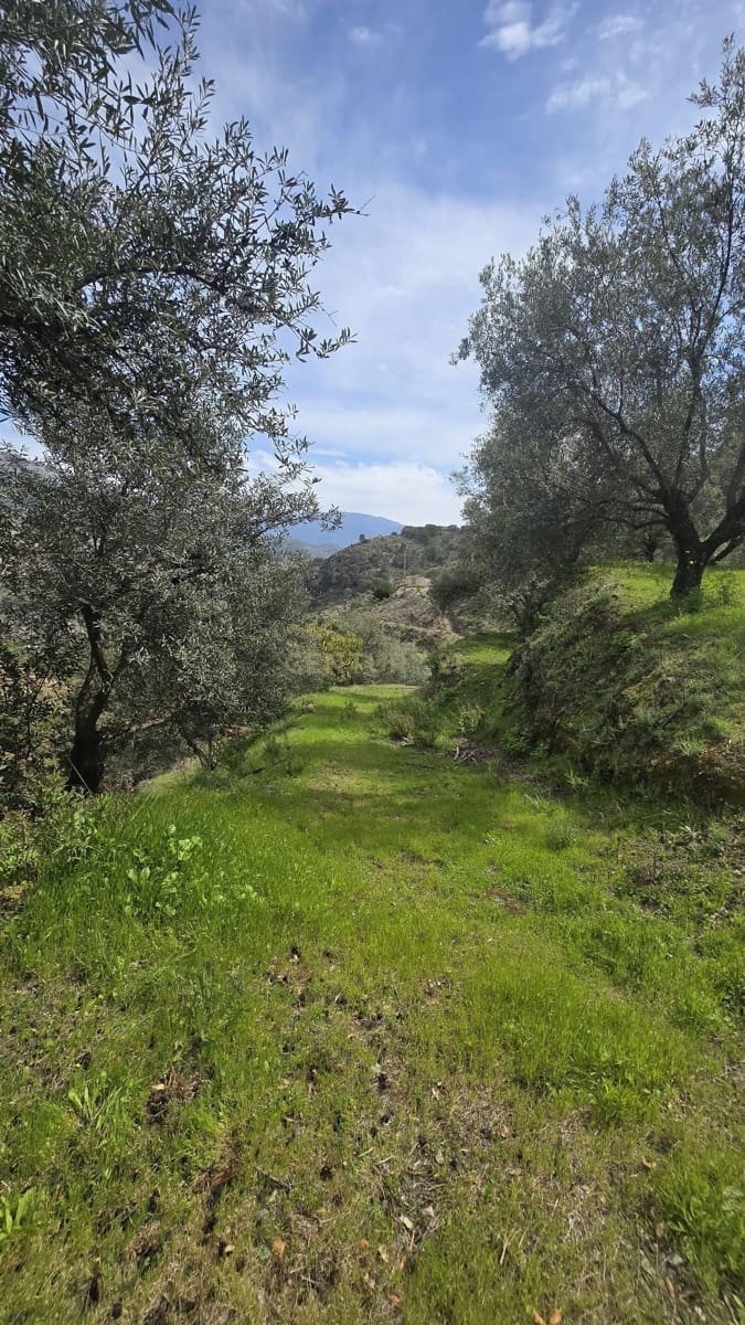 Building Plot for sale in Los Guajares - € 70,000 (Ref: 9730704)