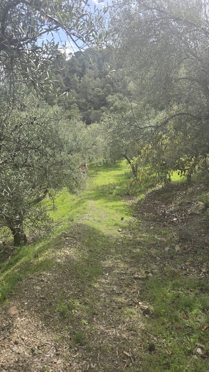 Building Plot for sale in Los Guajares - € 70,000 (Ref: 9730704)