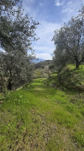 Byggetomt til salgs i Los Guajares - € 70 000 (Ref: 9730704)