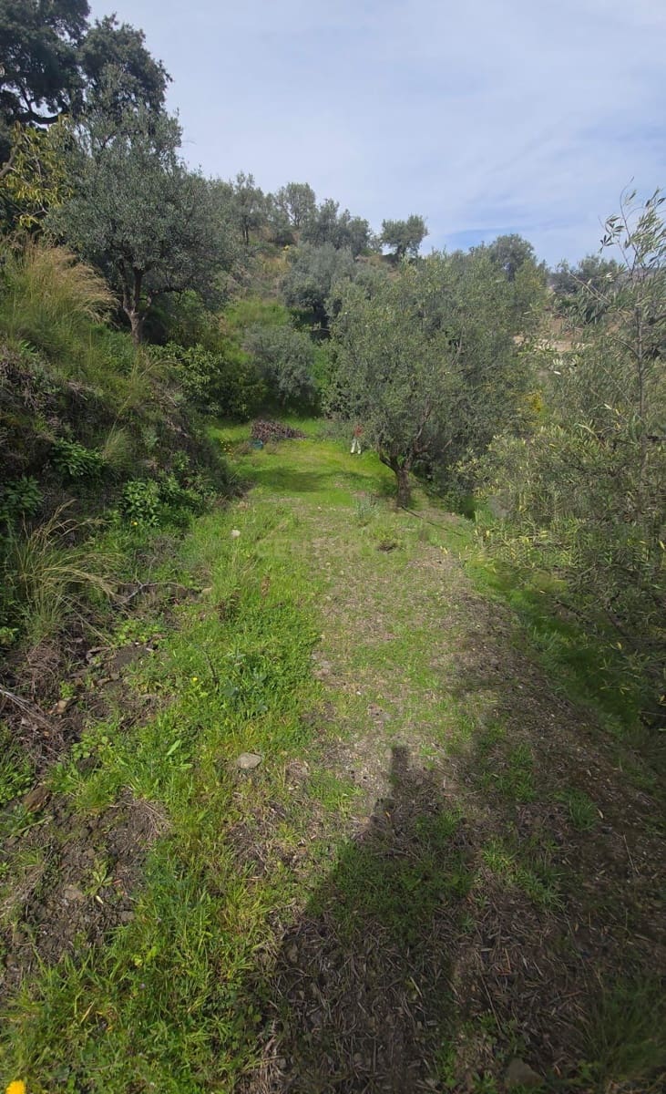 Building Plot for sale in Los Guajares - € 70,000 (Ref: 9730704)