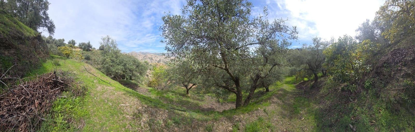 Building Plot for sale in Los Guajares - € 70,000 (Ref: 9730704)