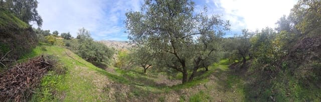 Byggetomt til salgs i Los Guajares - € 70 000 (Ref: 9730704)