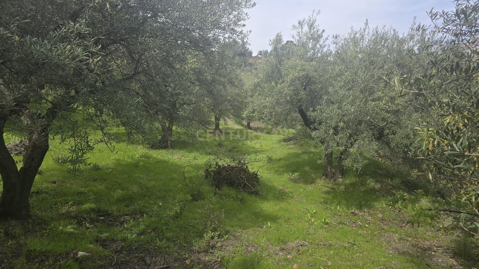 Building Plot for sale in Los Guajares - € 70,000 (Ref: 9730704)