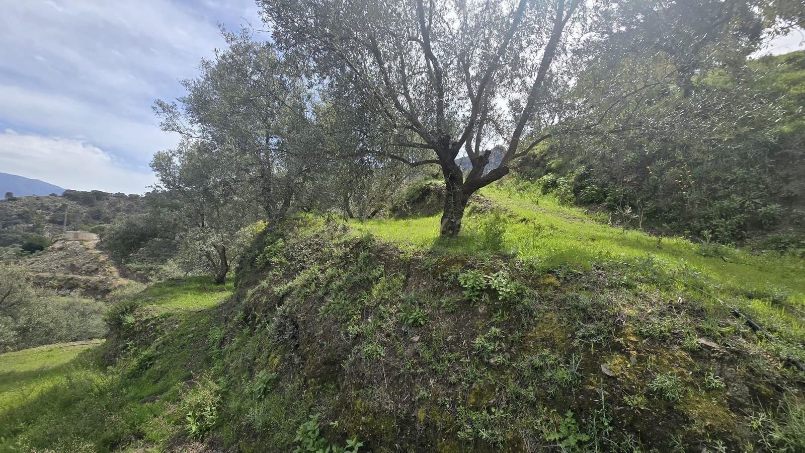 Building Plot for sale in Los Guajares - € 70,000 (Ref: 9730704)