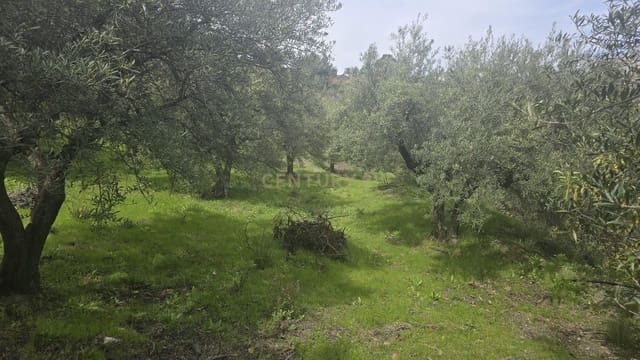 Byggetomt til salgs i Los Guajares - € 70 000 (Ref: 9730704)