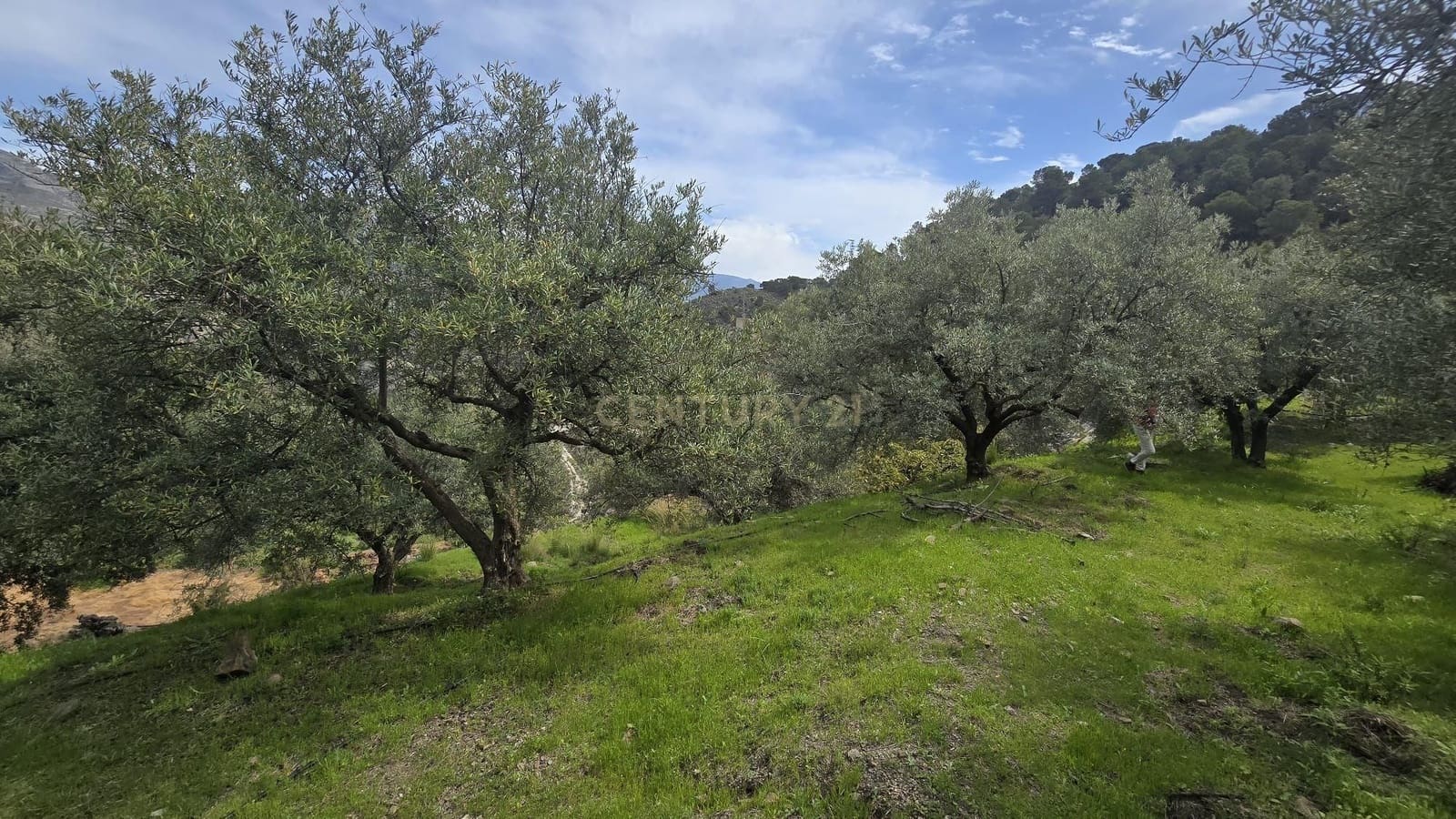 Building Plot for sale in Los Guajares - € 70,000 (Ref: 9730704)