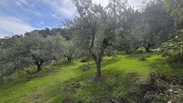 Byggetomt til salgs i Los Guajares - € 70 000 (Ref: 9730704)