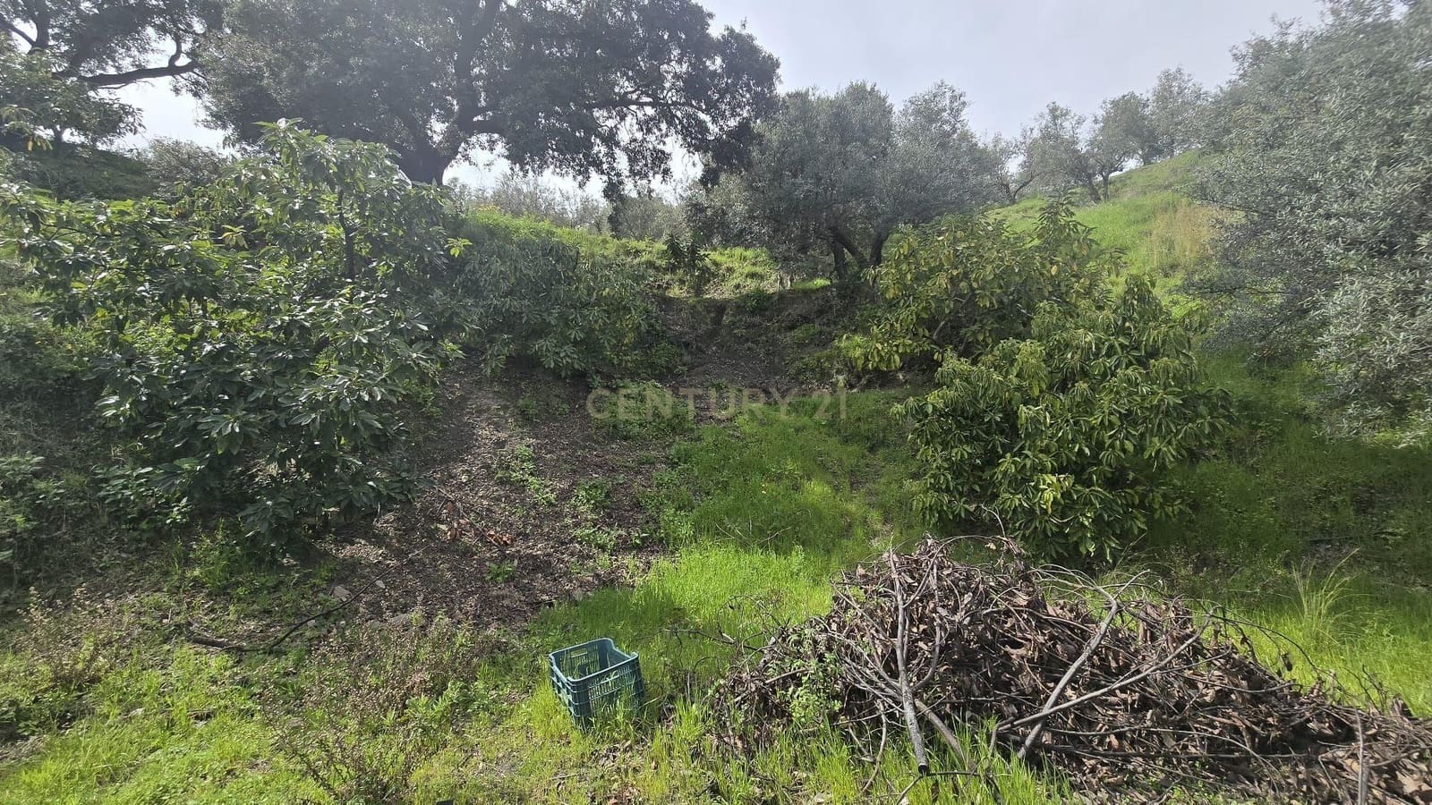 Building Plot for sale in Los Guajares - € 70,000 (Ref: 9730704)