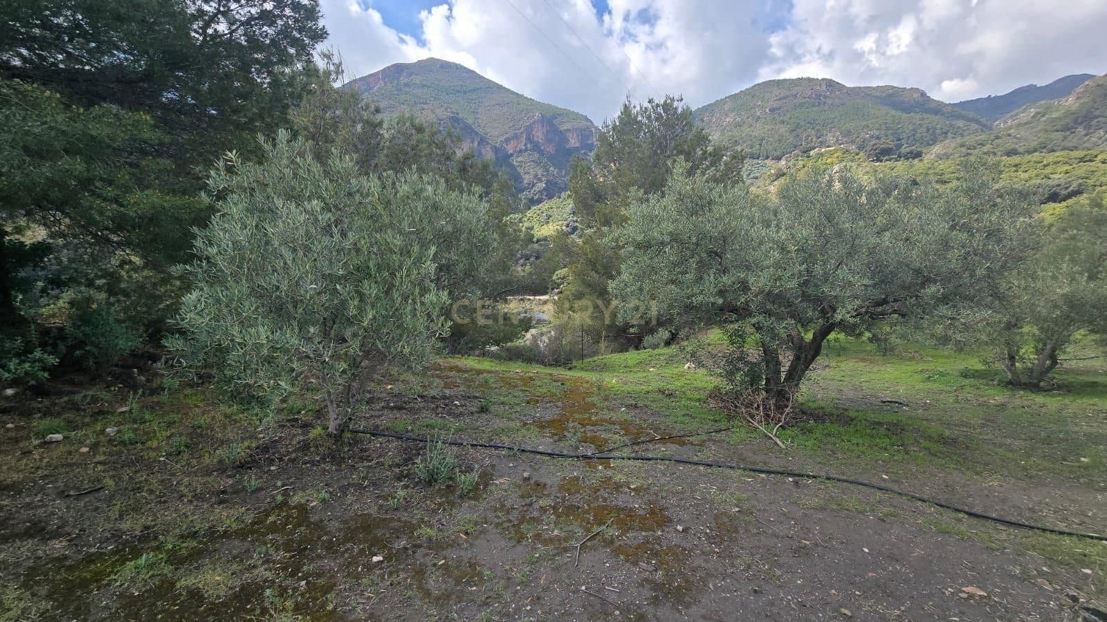 Building Plot for sale in Los Guajares - € 70,000 (Ref: 9730832)