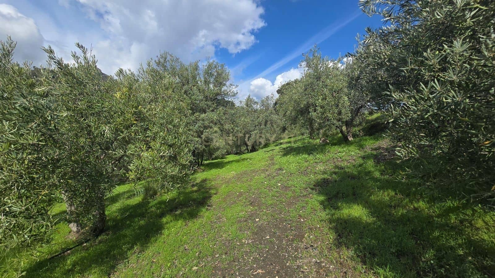 Building Plot for sale in Los Guajares - € 70,000 (Ref: 9730832)