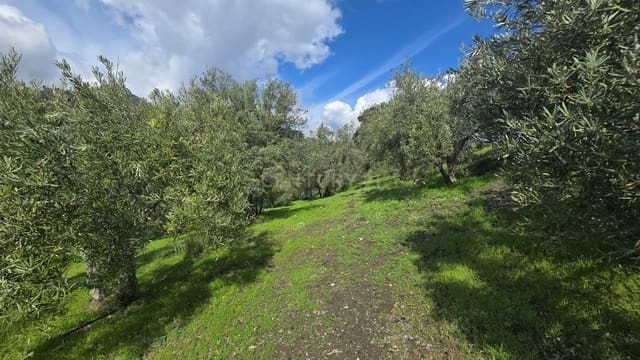 Byggetomt til salgs i Los Guajares - € 70 000 (Ref: 9730832)