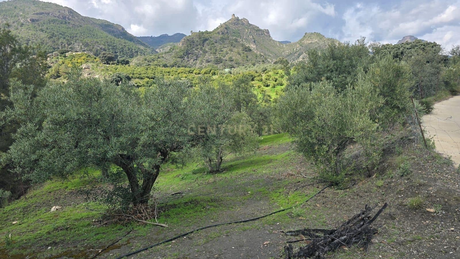 Building Plot for sale in Los Guajares - € 70,000 (Ref: 9730832)