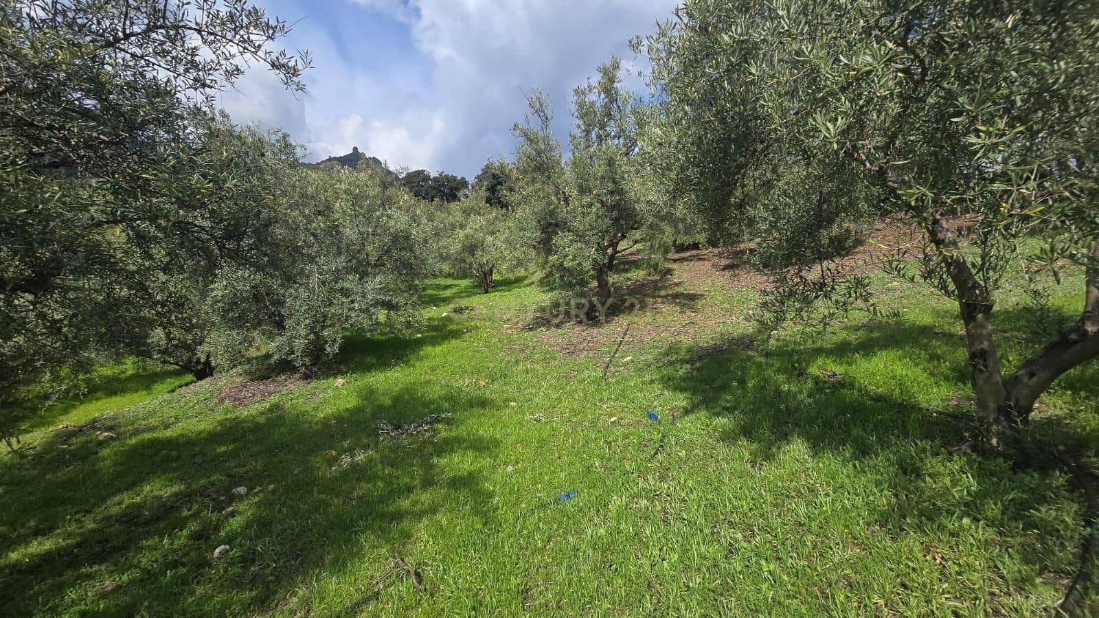 Building Plot for sale in Los Guajares - € 70,000 (Ref: 9730832)