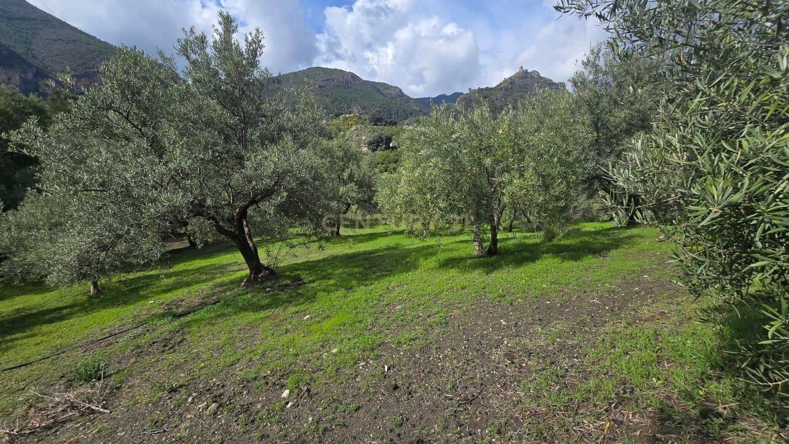 Building Plot for sale in Los Guajares - € 70,000 (Ref: 9730832)