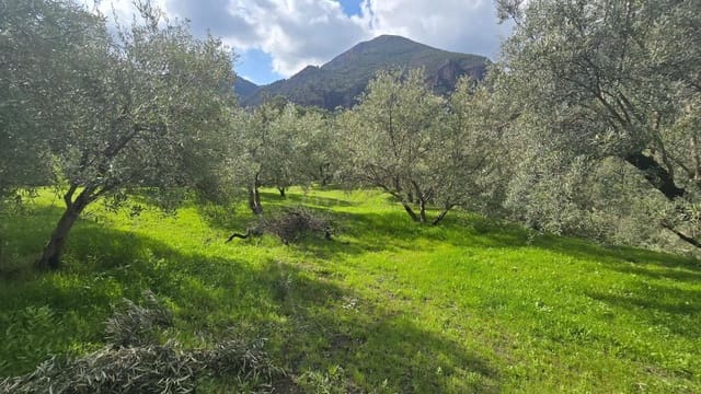 Byggetomt til salgs i Los Guajares - € 70 000 (Ref: 9730832)