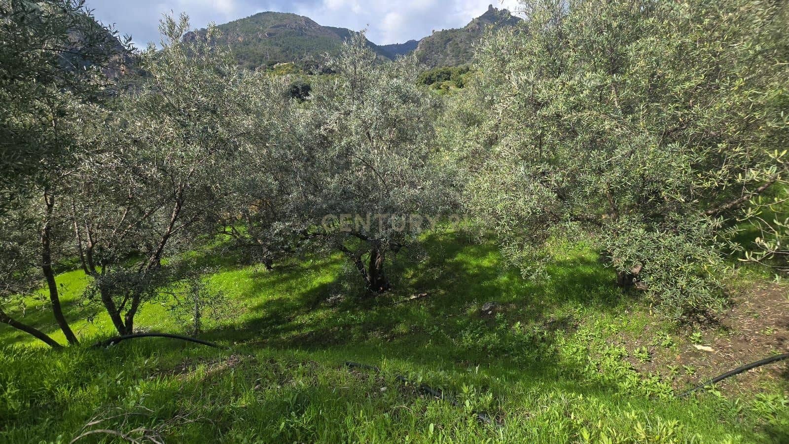 Building Plot for sale in Los Guajares - € 70,000 (Ref: 9730832)