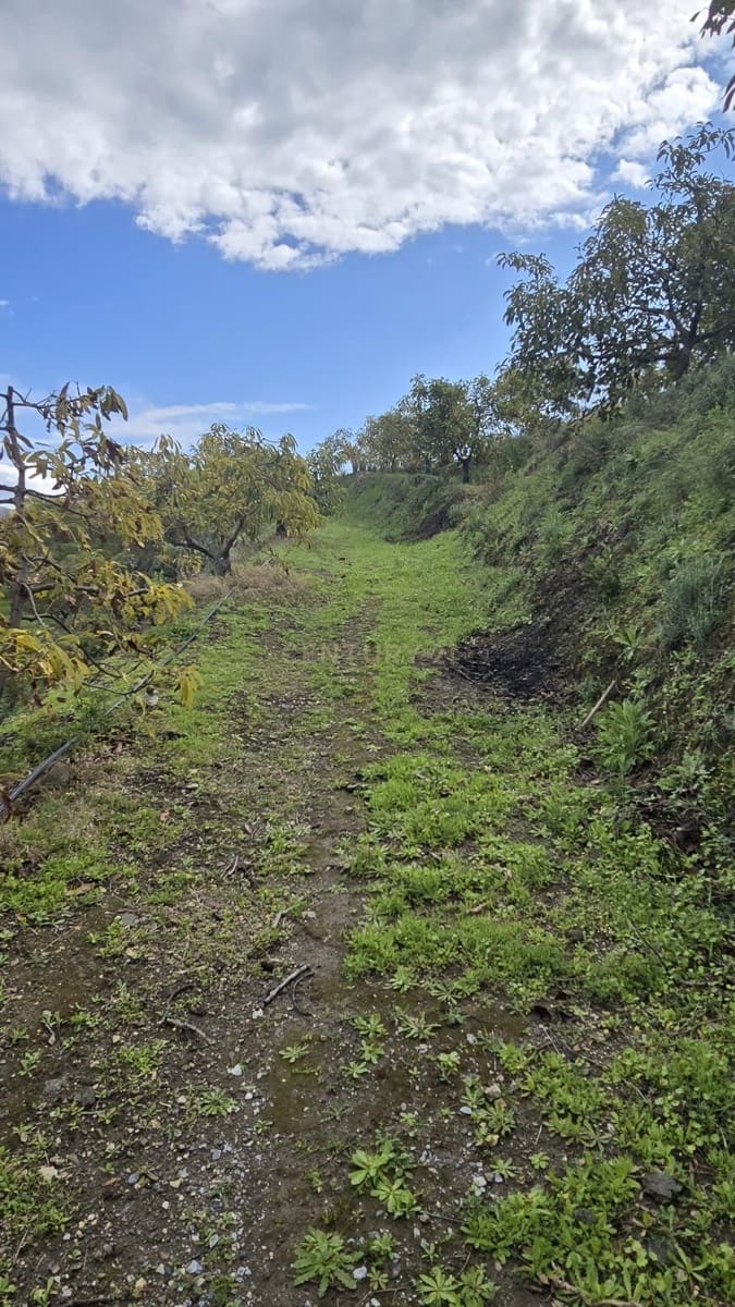 Building Plot for sale in Los Guajares - € 120,000 (Ref: 9730834)