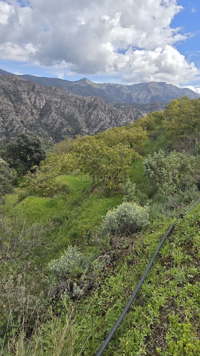 Building Plot for sale in Los Guajares - € 120,000 (Ref: 9730834)