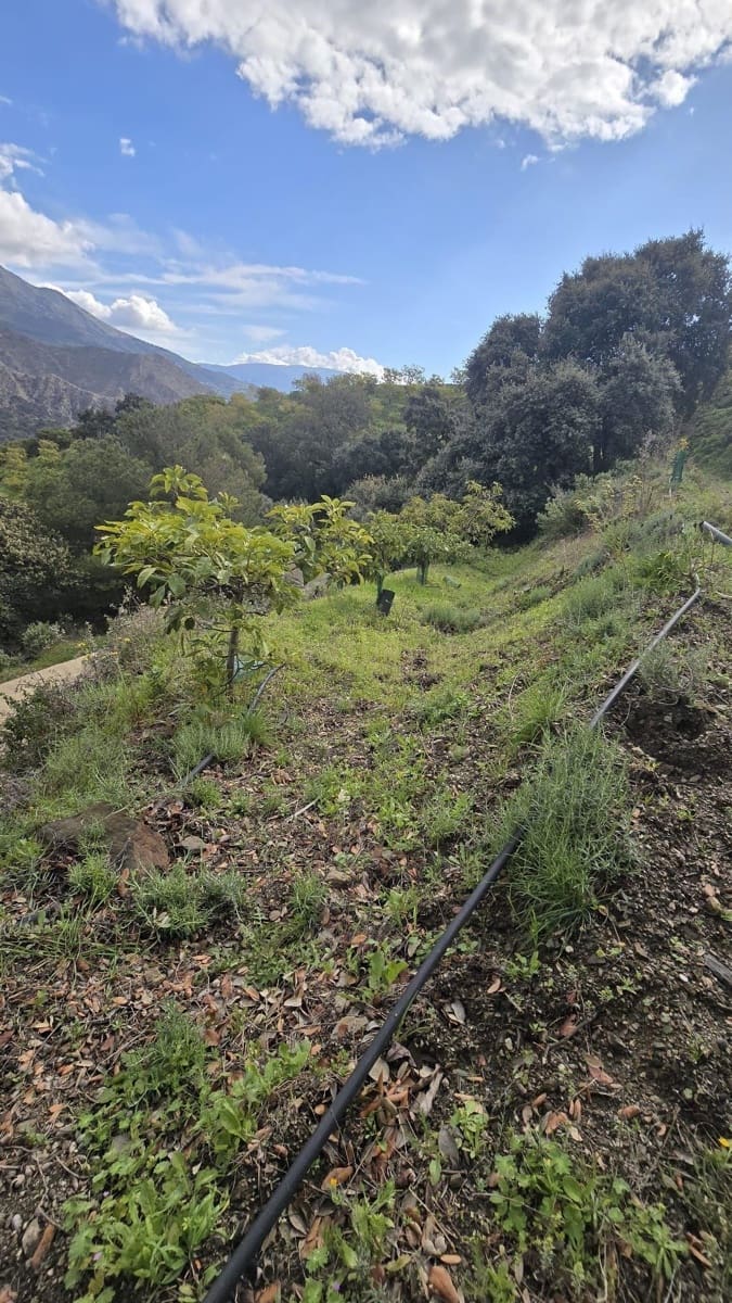Building Plot for sale in Los Guajares - € 120,000 (Ref: 9730834)