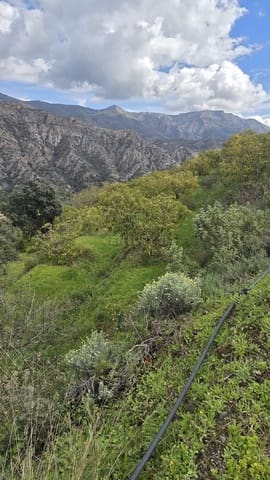 Area Edificabile in vendita in Los Guajares - 120.000 € (Rif: 9730834)