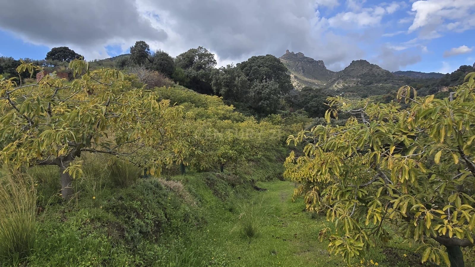 Building Plot for sale in Los Guajares - € 120,000 (Ref: 9730834)