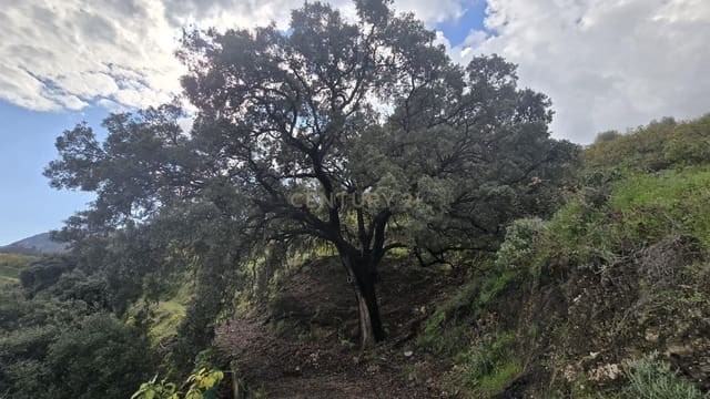 Area Edificabile in vendita in Los Guajares - 120.000 € (Rif: 9730834)