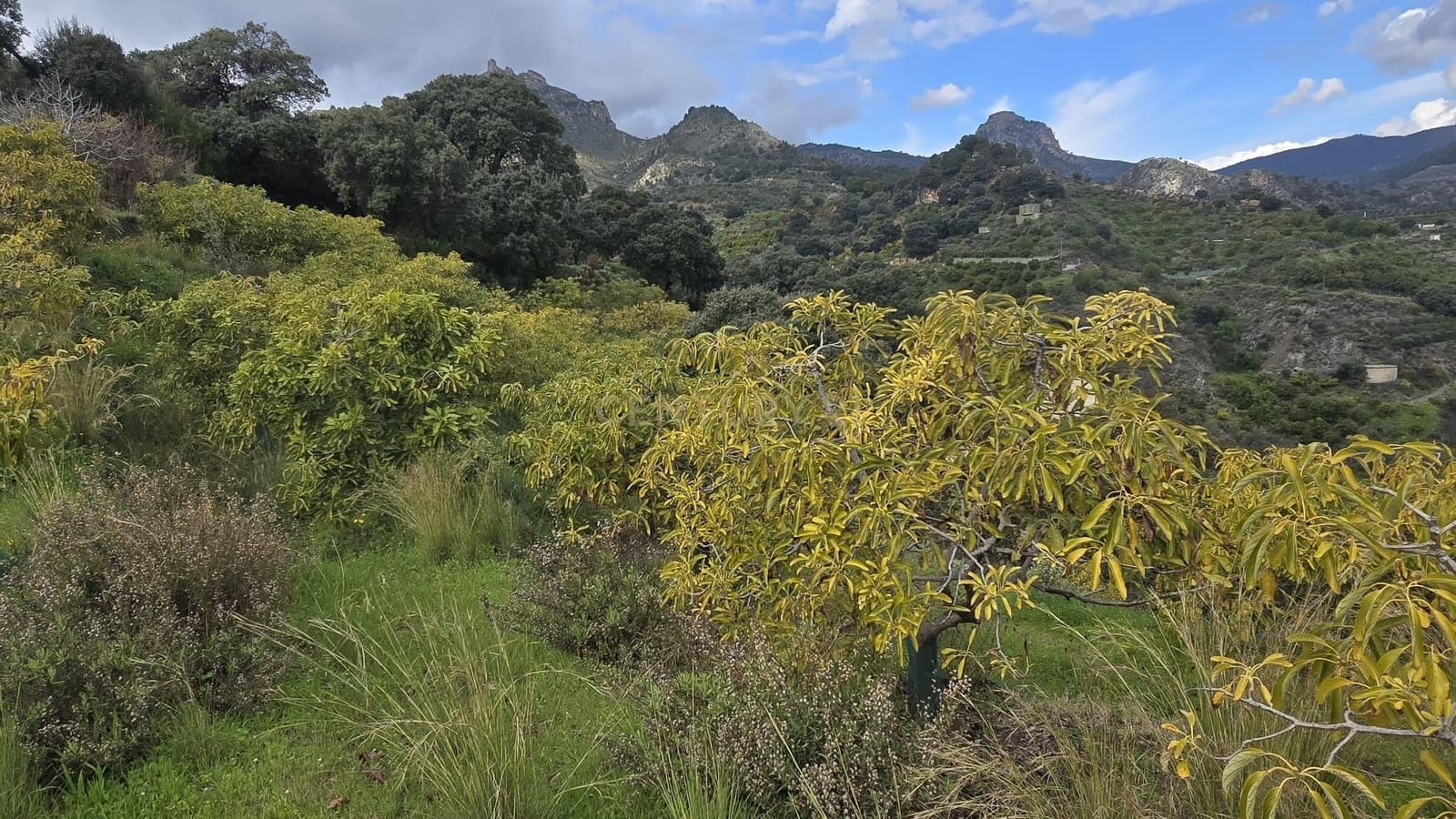 Building Plot for sale in Los Guajares - € 120,000 (Ref: 9730834)