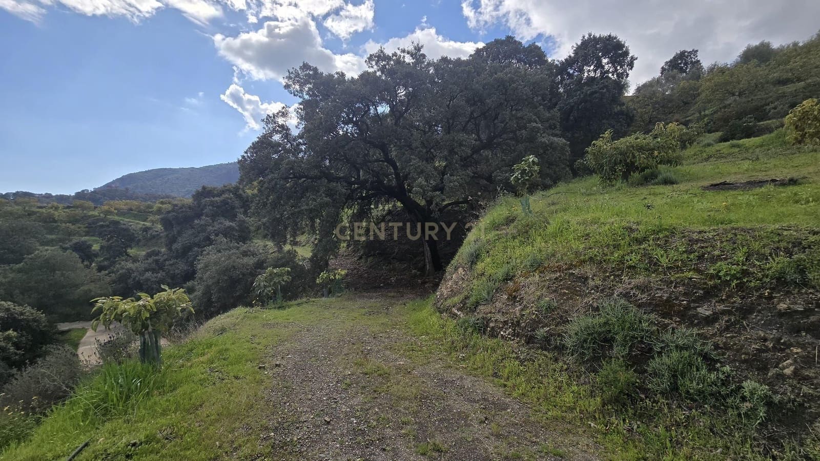 Building Plot for sale in Los Guajares - € 120,000 (Ref: 9730834)