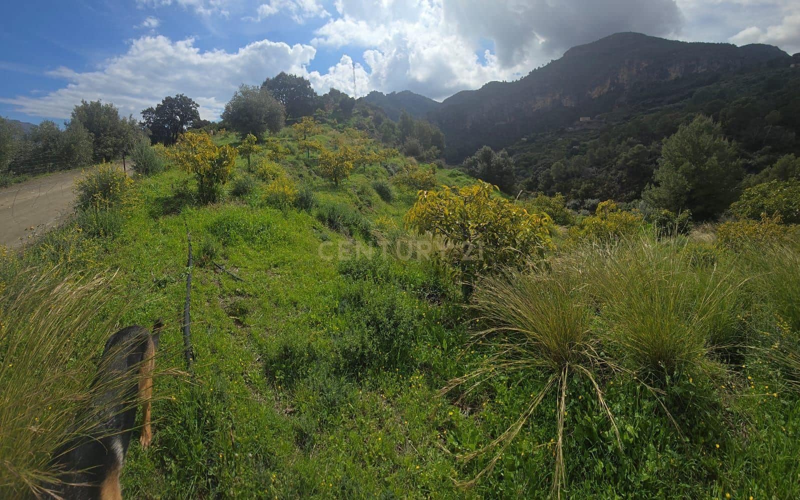 Building Plot for sale in Los Guajares - € 50,000 (Ref: 9730836)