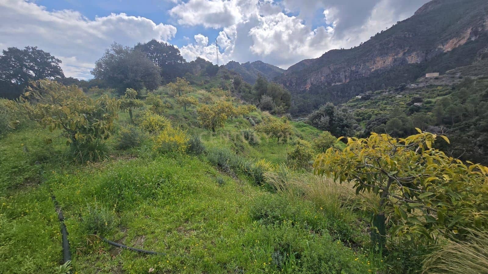 Building Plot for sale in Los Guajares - € 50,000 (Ref: 9730836)