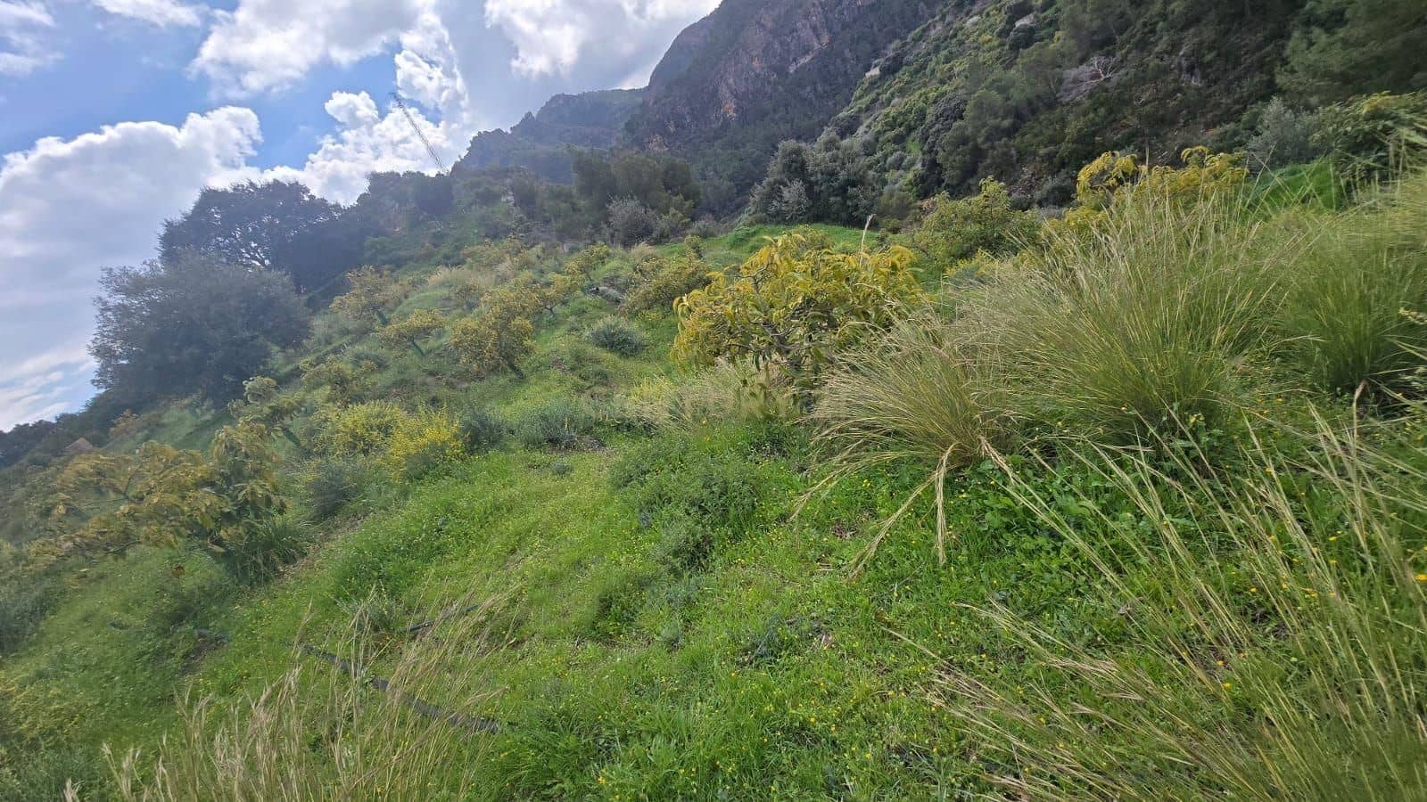 Building Plot for sale in Los Guajares - € 50,000 (Ref: 9730836)