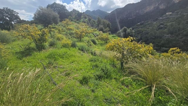 Area Edificabile in vendita in Los Guajares - 50.000 € (Rif: 9730836)