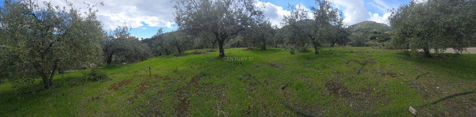 Building Plot for sale in Los Guajares - € 165,000 (Ref: 9731239)