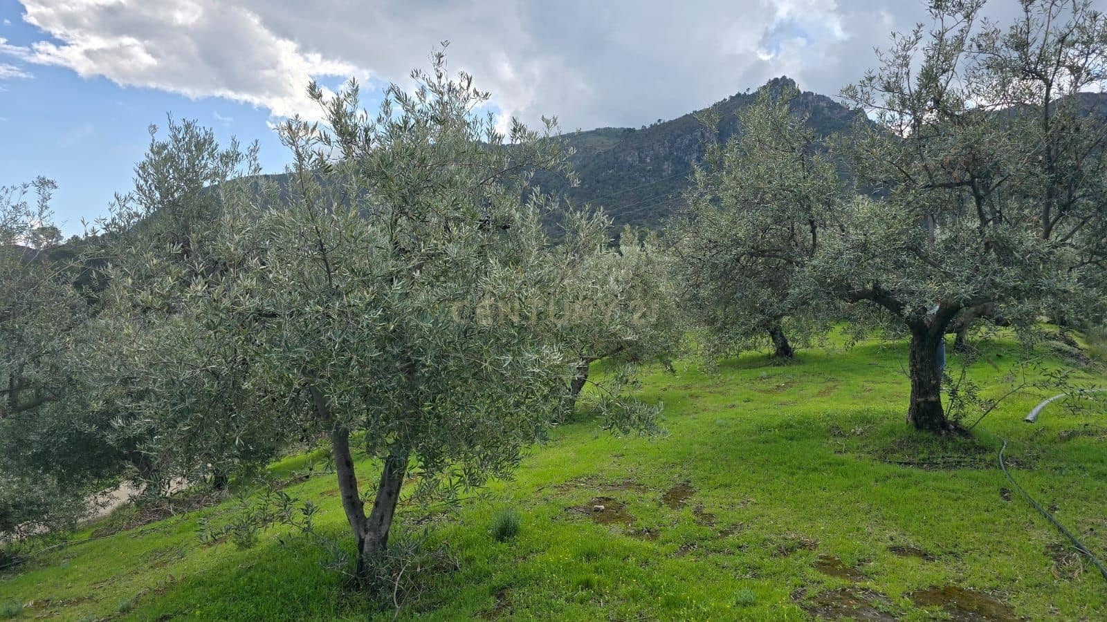 Building Plot for sale in Los Guajares - € 165,000 (Ref: 9731239)