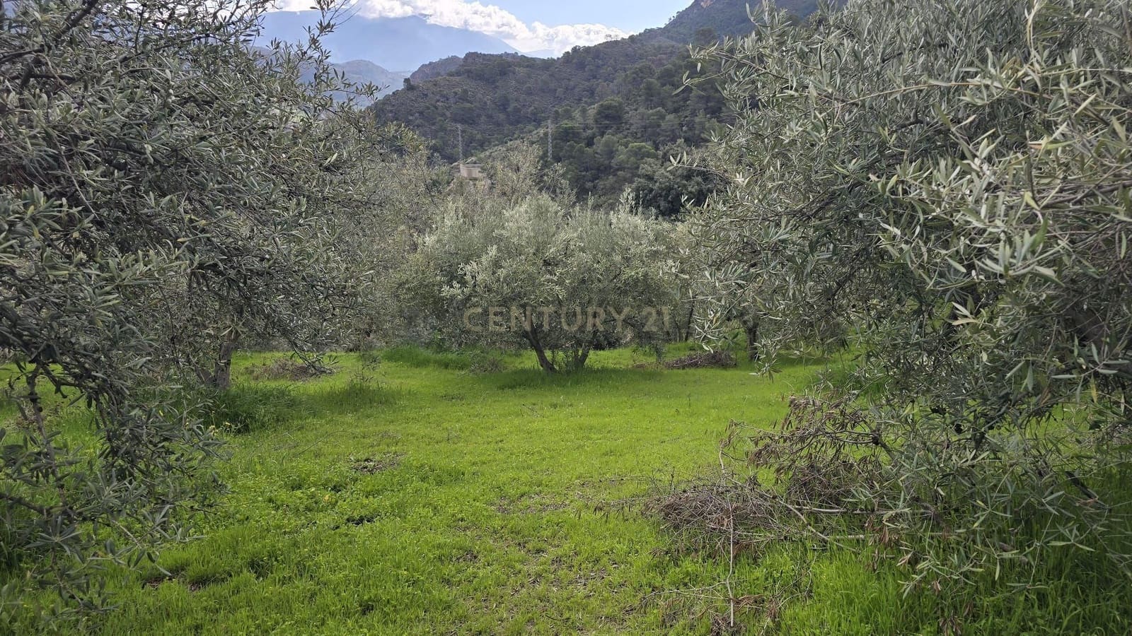 Building Plot for sale in Los Guajares - € 165,000 (Ref: 9731239)