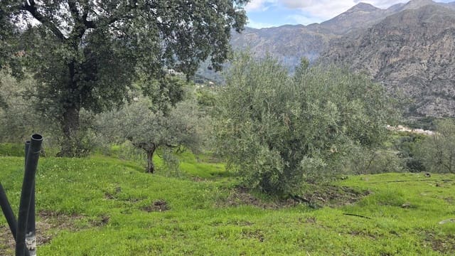 Area Edificabile in vendita in Los Guajares - 165.000 € (Rif: 9731239)