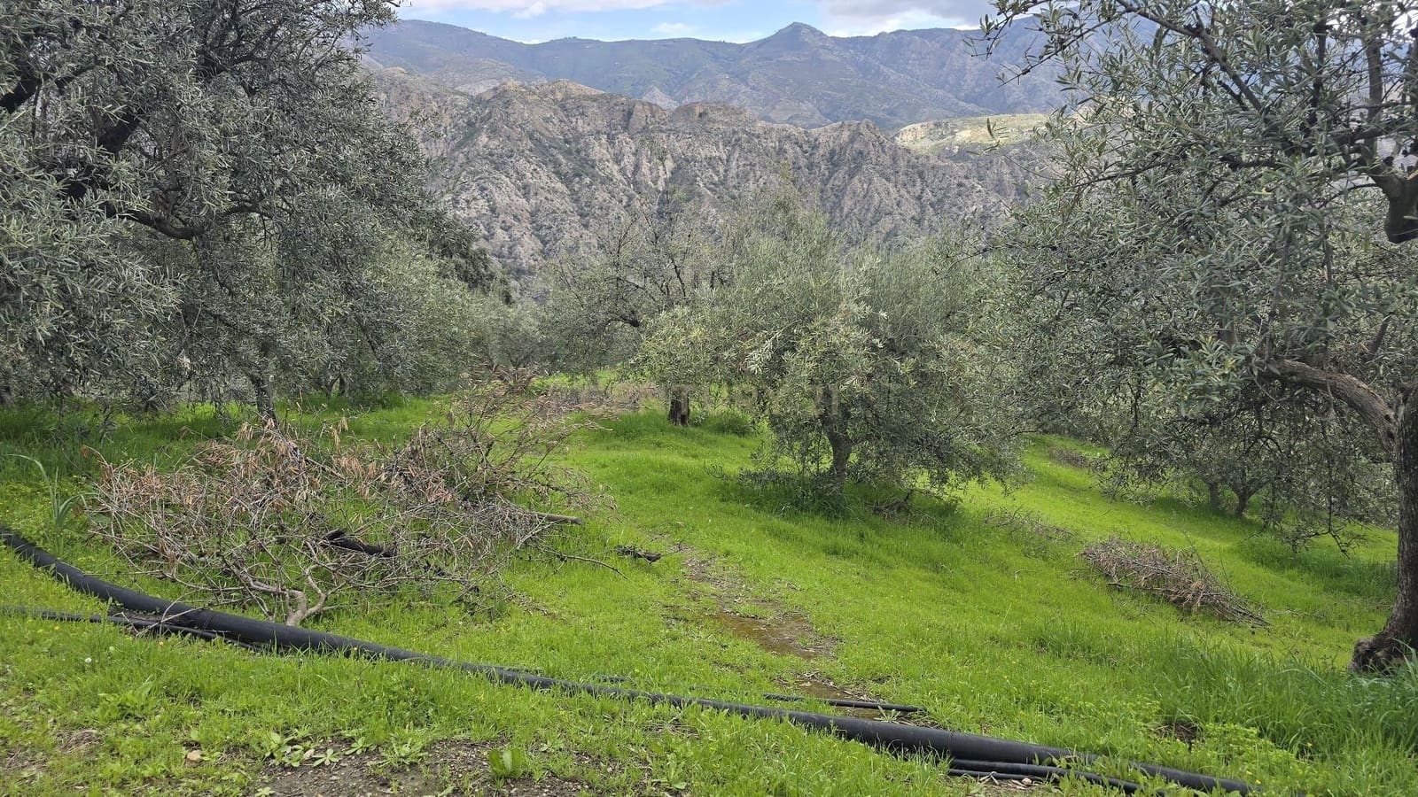 Building Plot for sale in Los Guajares - € 165,000 (Ref: 9731239)