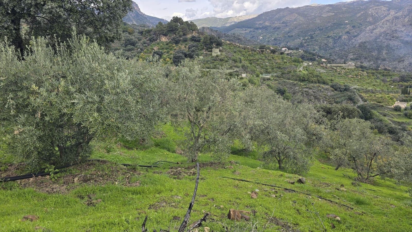 Building Plot for sale in Los Guajares - € 165,000 (Ref: 9731239)