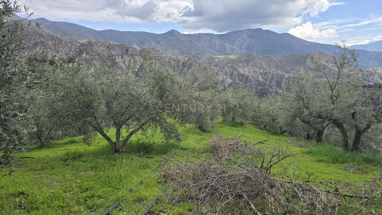 Building Plot for sale in Los Guajares - € 165,000 (Ref: 9731239)