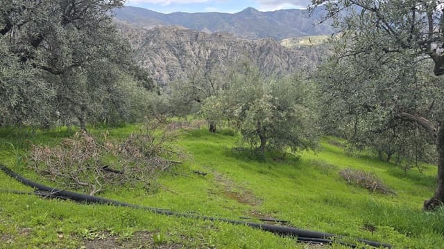 Area Edificabile in vendita in Los Guajares - 165.000 € (Rif: 9731239)