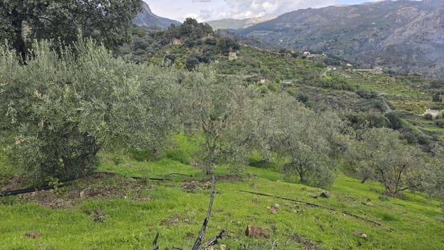 Area Edificabile in vendita in Los Guajares - 165.000 € (Rif: 9731239)