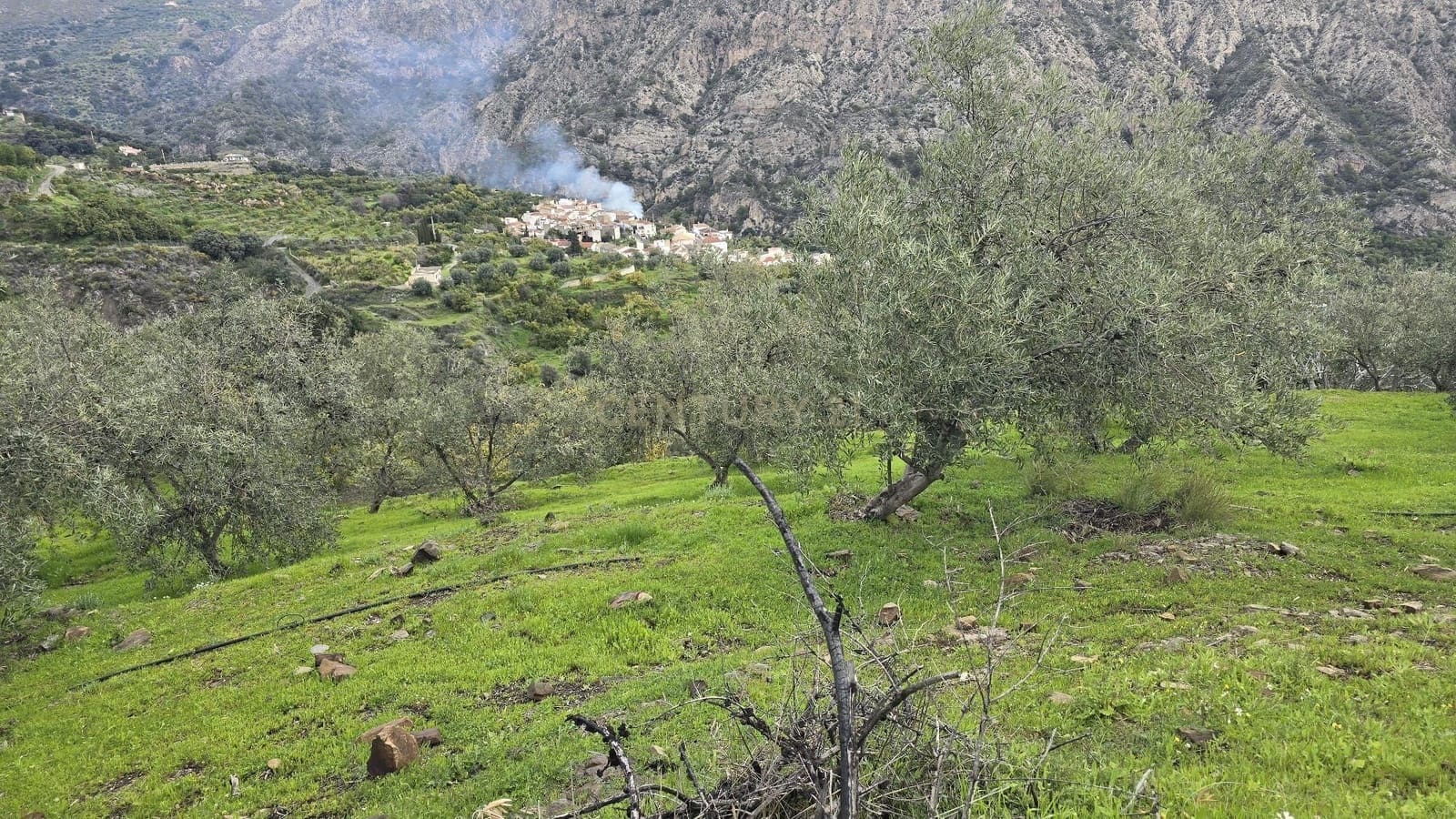 Building Plot for sale in Los Guajares - € 165,000 (Ref: 9731239)